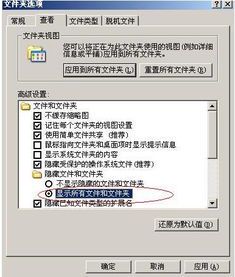 隐藏的步骤：免费在线观看指南