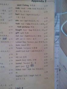 捉迷藏的英文过去式是什么？