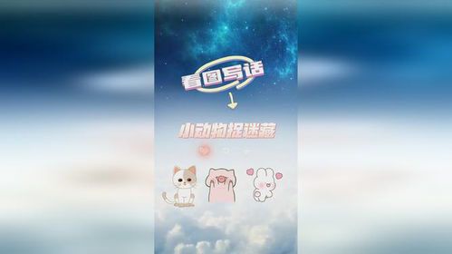 小动物们的捉迷藏游戏