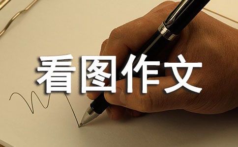 捉迷藏的乐趣