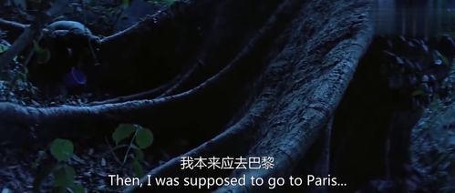 《启示录电影豆瓣影评深度解析》
