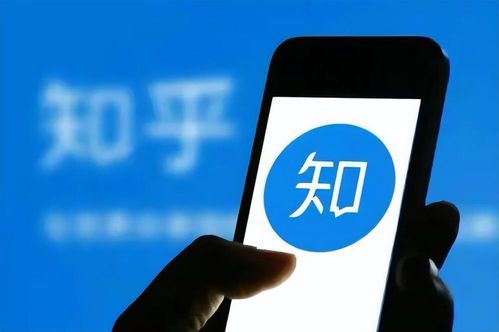 地雷系文化在知乎的讨论与反思