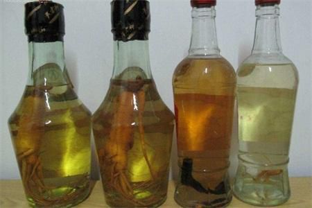 地雷蜂子泡酒的功效与作用