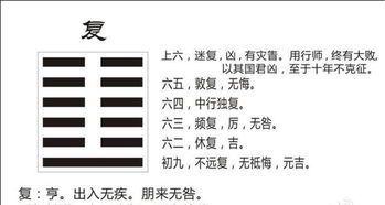地雷复卦详解男女关系：重获和谐的相处之道