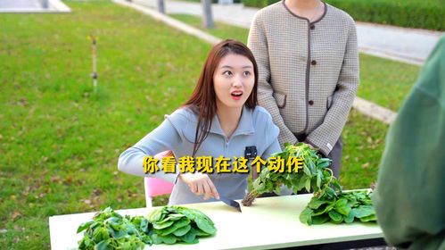 听说你很菜？那可能是你还没找到自己的战场