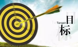 目标：指引人生的灯塔