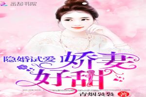 黑市交易的艺术：掮客小说探秘