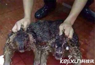 水鬼传说：神秘水域的未解之谜