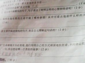 天堂的密码：解读生命与信仰的终极答案
