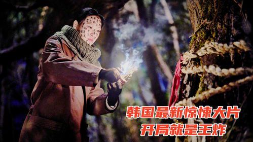 鬼吹灯之破墓：在线免费观看指南