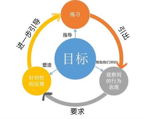 目标导向：实现高效人生的关键法则