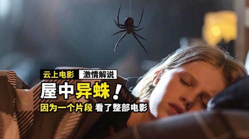 黑客与救赎：《蜘蛛网中的女孩》悬疑世界深度解析