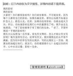 目标的力量：如何设定并实现你的理想人生