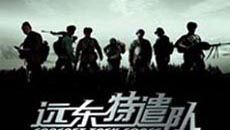 远东特遣队：隐秘战线上的无名英雄
