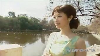 归乡白鹿