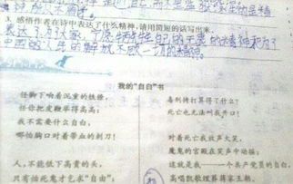 自白的含义与解读