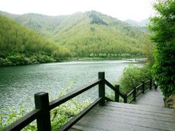 南山竹海：翠浪千顷的诗意栖居