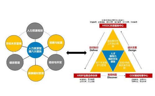 目标设置激励理论在人力资源管理中的实践与应用