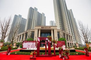 南山同乐公馆即将盛大交付，匠心筑就品质生活