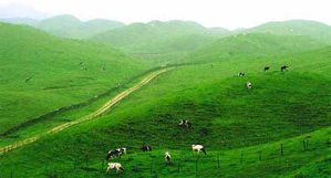 草原明珠：南山牧场
