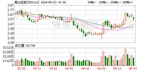 南山控股迎来中金公司深度调研：战略布局与未来发展引关注