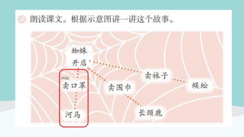 蜘蛛网商店：编织您的品质生活