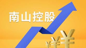 南山控股：深耕产业布局，稳健前行