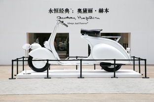 《奥黛丽高达：当经典美学邂逅未来科技》