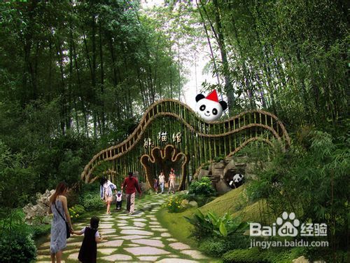 南山竹海旅游全攻略：漫步竹韵，邂逅自然
