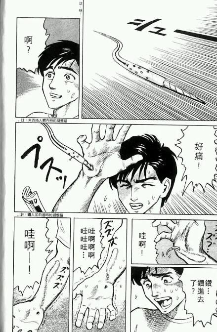 **寄生兽医：黑暗中的生命守护者**