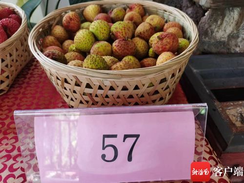 岭南佳果飘香时 南山荔枝品鉴会盛大启幕