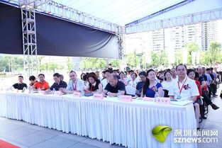 南山区基层医疗体系建设的创新与实践