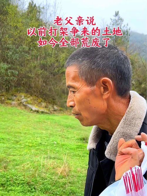 归乡