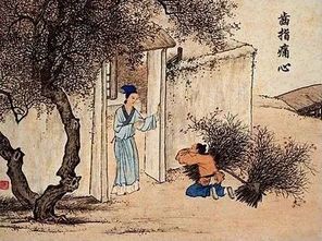 归乡报兄恩：一段深情的免费观影之旅