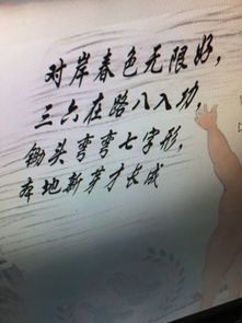 春梦迷离寻生肖