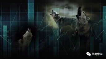 群狼环伺：危机四伏的生存隐喻