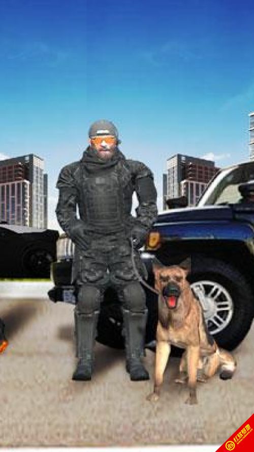 标题：犯罪都市2：暴力与正义的黑暗交锋