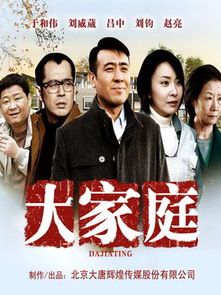 **温馨治愈的大家庭韩剧：亲情与成长的永恒主题**