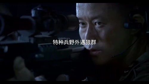 《群狼小队：荒野中的默契与力量》