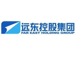 远东控股集团有限公司：多元化发展的商业巨擘