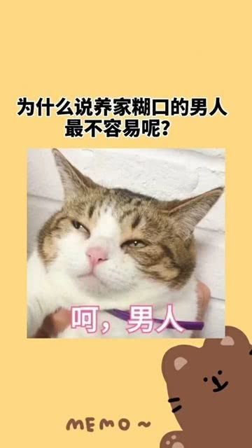 男人养家糊口的责任与当代挑战