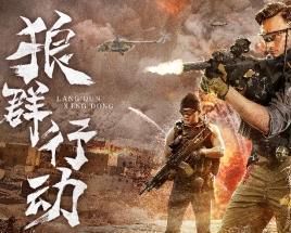 《群狼行动电影：热血激战的银幕传奇》