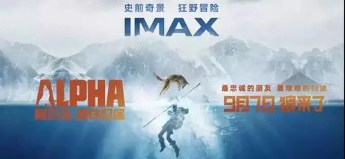 野性呼唤：揭秘《狼狩猎》的观影指南