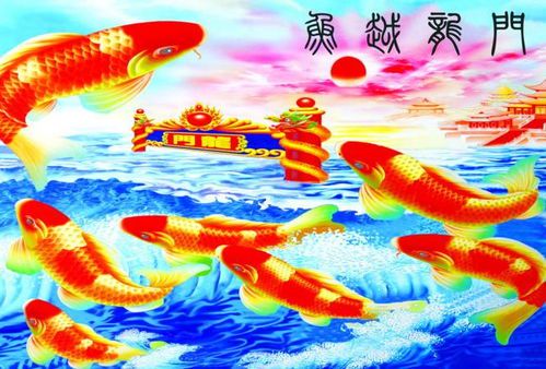 养家糊口的生肖之谜