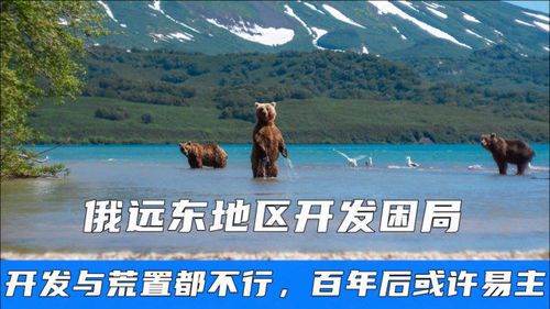 远东开发的挑战与机遇