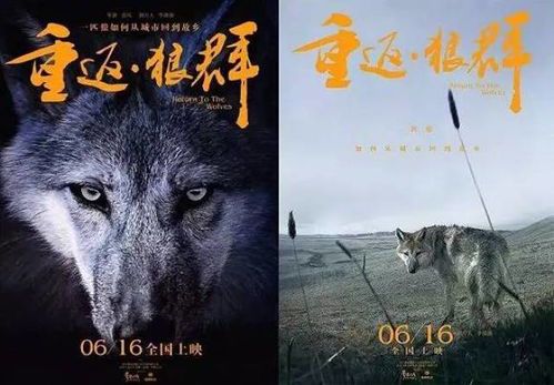 群狼在线：一部值得深思的悬疑电影