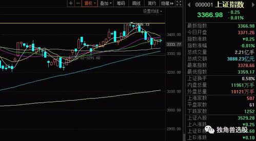 远东传动股价回调3.37%，市场观望情绪升温