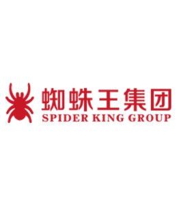 蜘蛛网官方网站：探索网络世界的奥秘