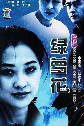 绿萝花电视剧全25集