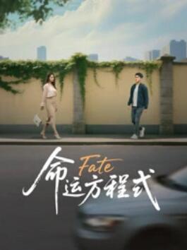 命运方程式电影1080P